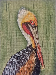 GEP259 - Pelican