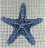 GES163 - Blue Starfish