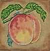 GEP242 - Botanical Peach