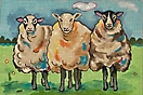 GEP283 - Three Sheep