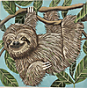GEP343 Sloth