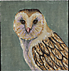 GEP358 Owl